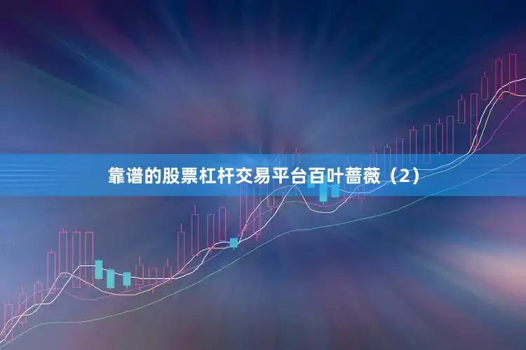 靠谱的股票杠杆交易平台百叶蔷薇（2）