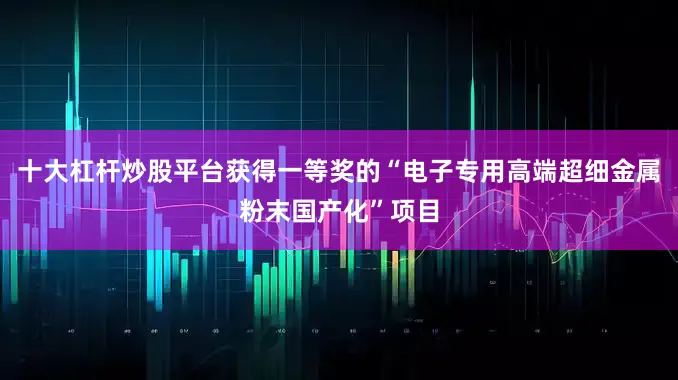 十大杠杆炒股平台获得一等奖的“电子专用高端超细金属粉末国产化”项目
