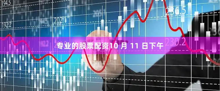 专业的股票配资10 月 11 日下午